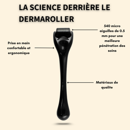 Dermaroller 0,5mm 540 micro aiguilles - Microneedling pour la barbe, les cheveux et le visage
