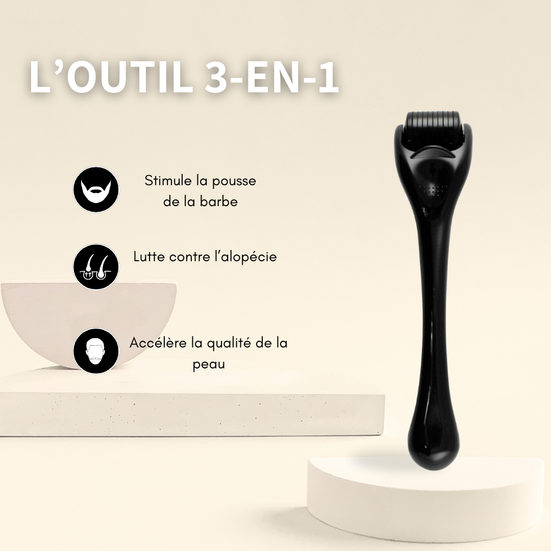 Dermaroller 0,5mm 540 micro aiguilles - Microneedling pour la barbe, les cheveux et le visage